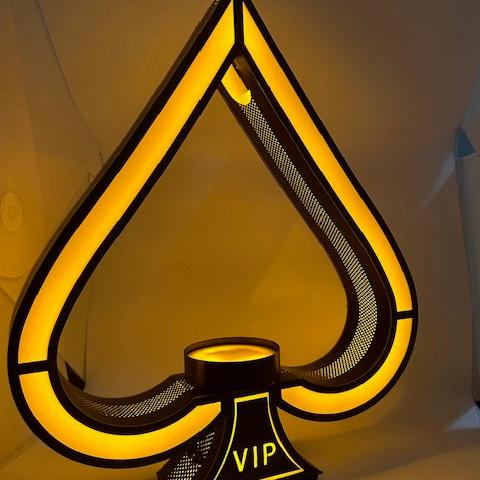 VIP Ace Bottle Holder